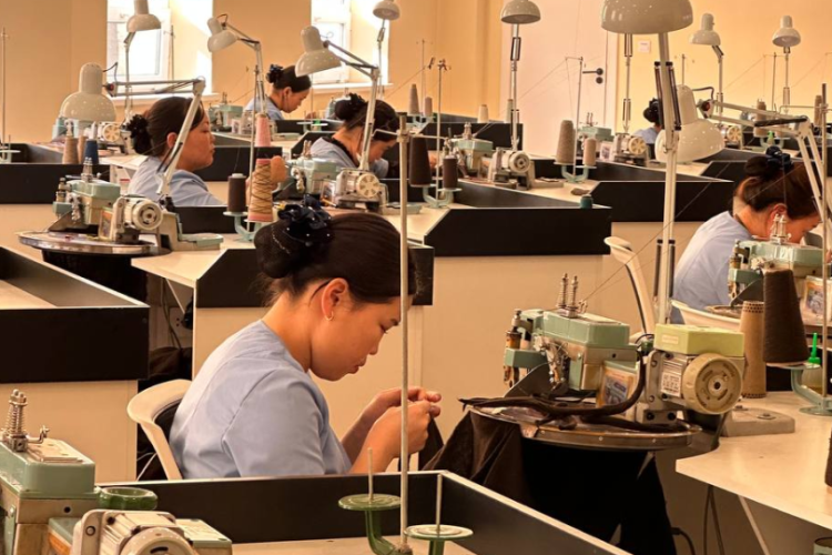 Что такое кашемир: происхождение, свойства и особенности ухода Что такое кашемир: происхождение, свойства и особенности ухода